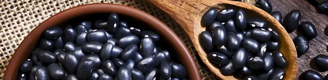 Black Bean Skin Extract Banner