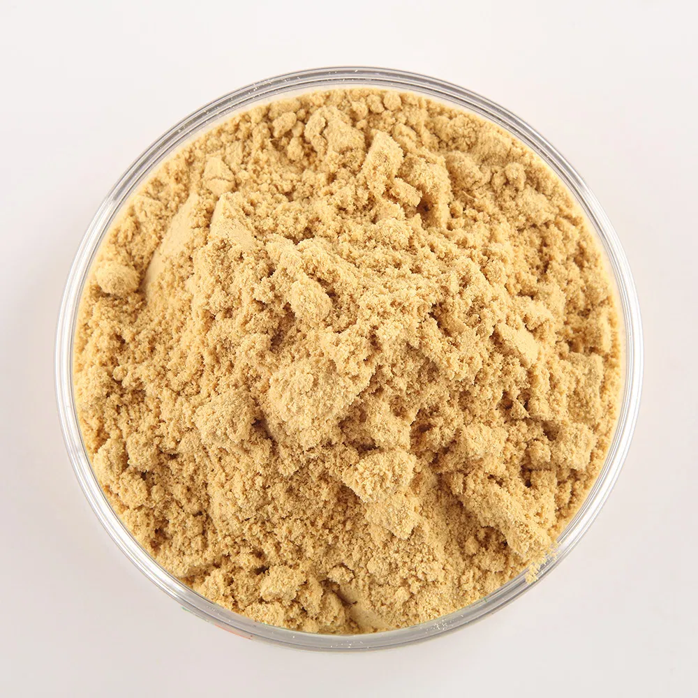 Pure Plant-Based Ginger Extract Powder for Culinary Health