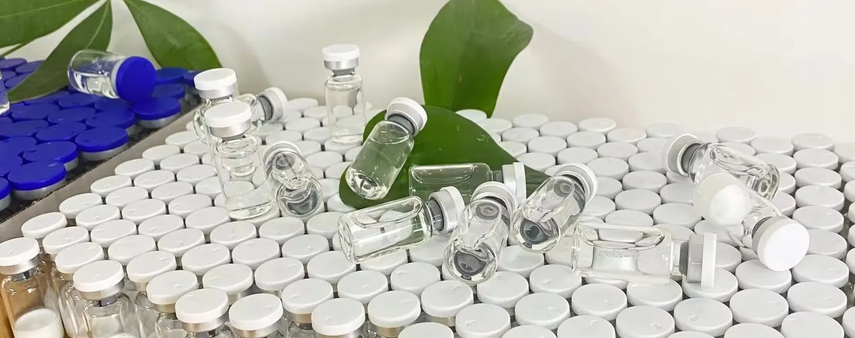 Anti-Aging Peptide Raw Material