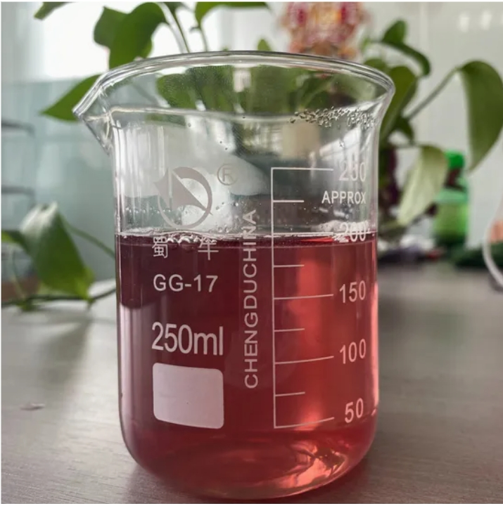 Premium Elderberry Extract with 25% Proanthocyanidins for Immune Health