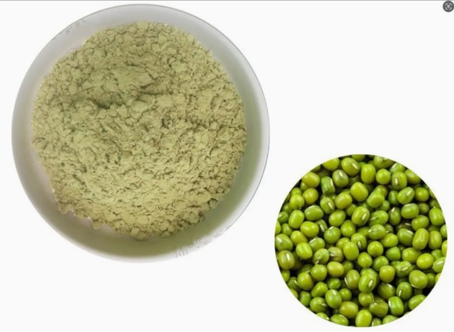 High-Quality Mung Bean Protein Food Grade Protein Fortifier Emulsifying Gelling Functional Raw Material