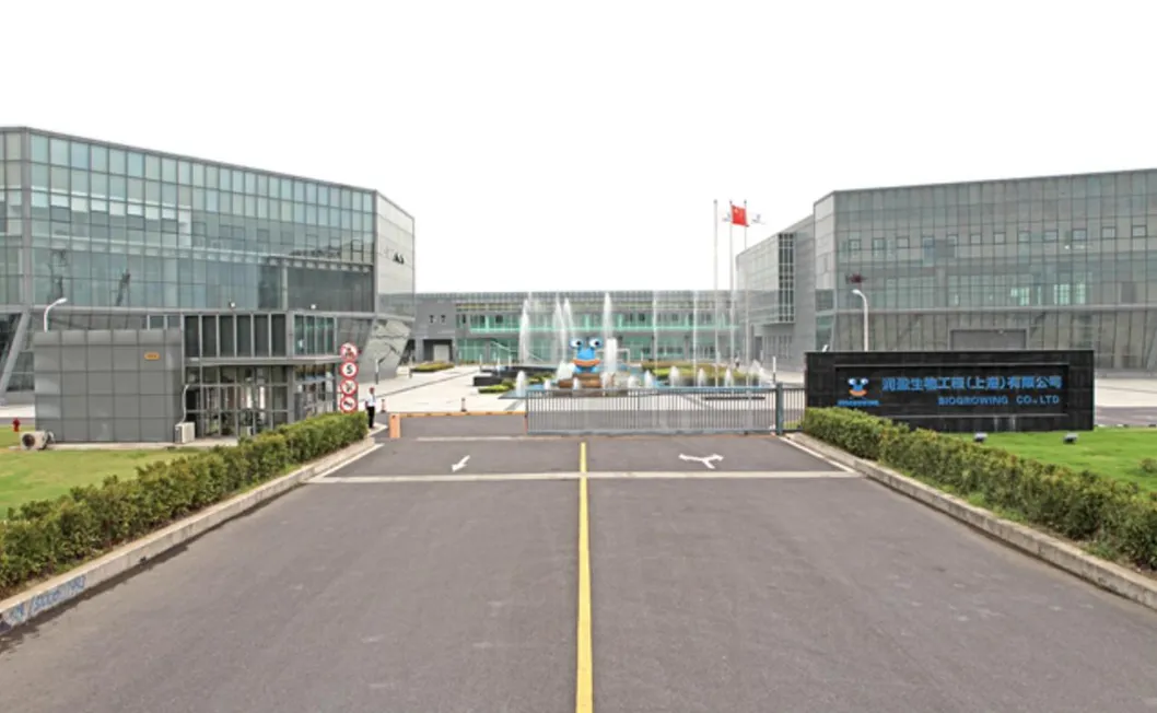 High Potency Probiotic