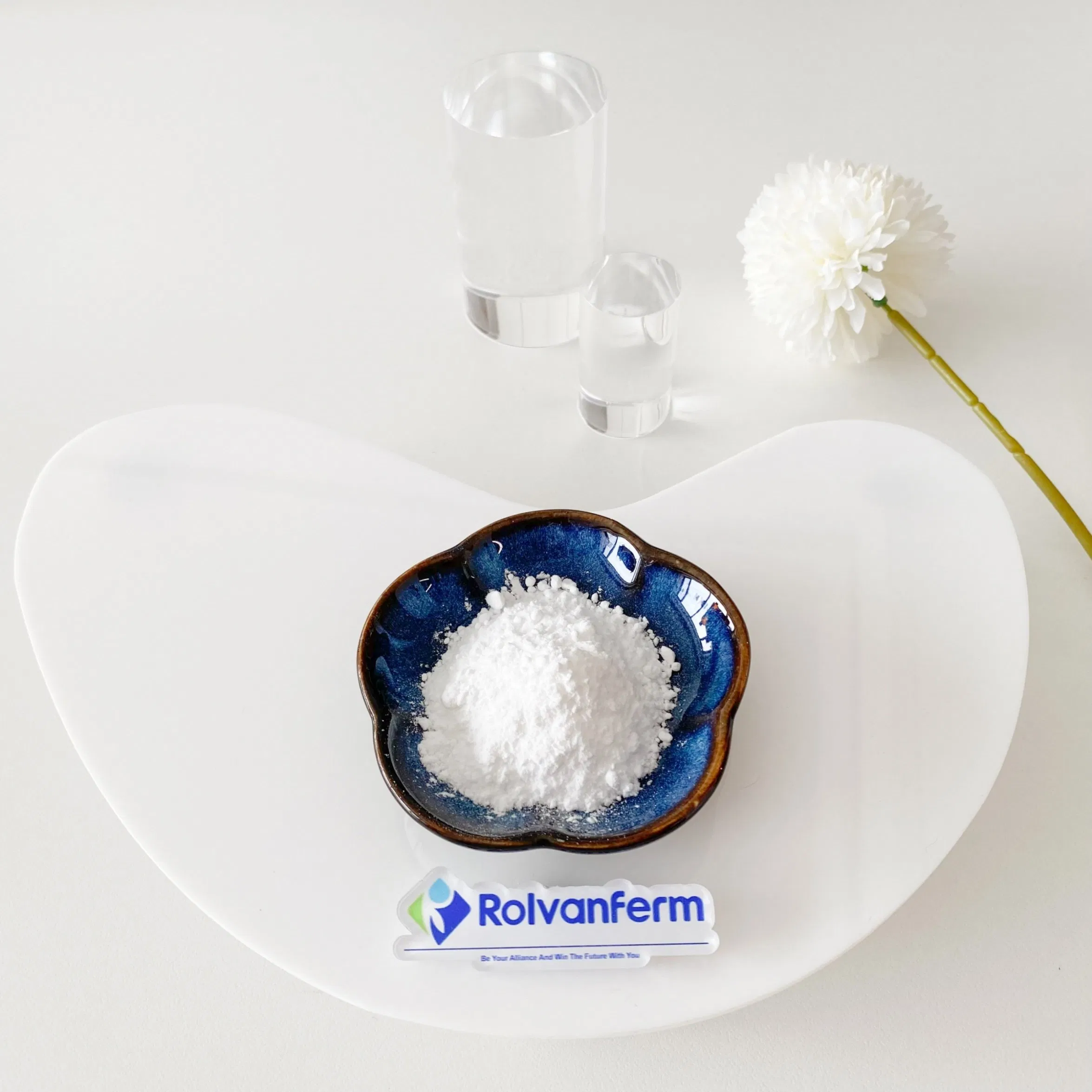 Oral Beauty and Antioxidant Ingredient with Hyaluronic Acid Like Benefits for Supporting Skin Elasticity and Combatting Dryness Tremella Fuciformis