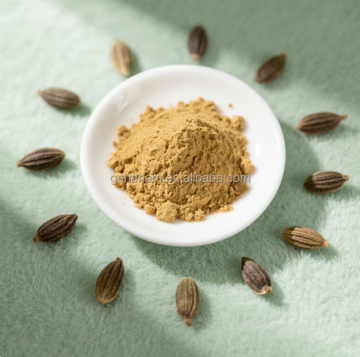 Vegan Fenugreek Seed Extract 50% Furostanol Saponin Food Grade Pure Plant-Based Ingredient for Immunity Energy Boost