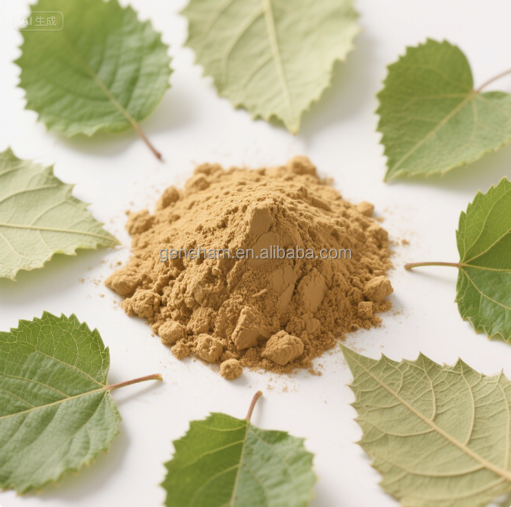 Kosher/Halal Certified Food Grade 2% Mulberry Leaf Extract Plant-Based Herbal Powder