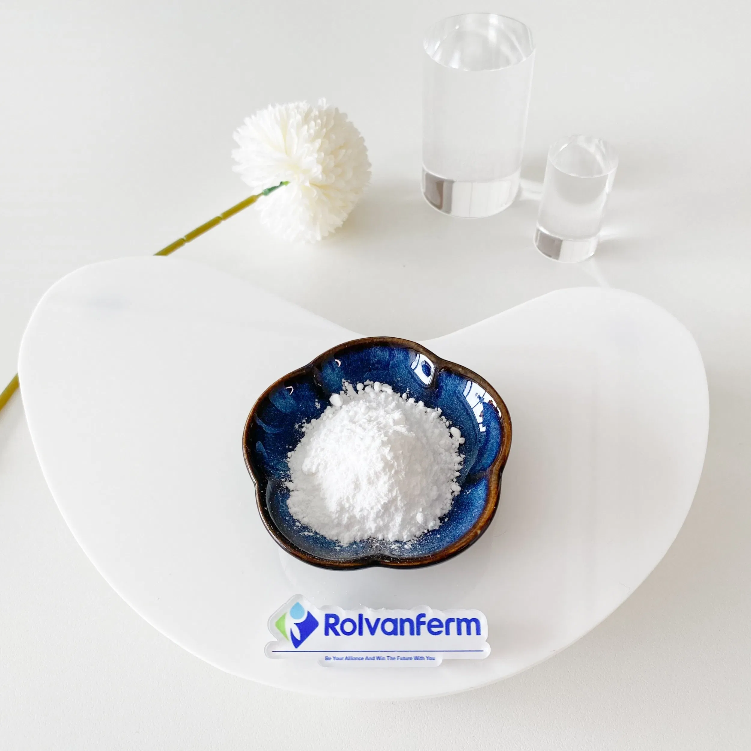 High Purity Powder-Type White-Kidney-Bean Extract for Health Care Product &amp; Dietary Supplement