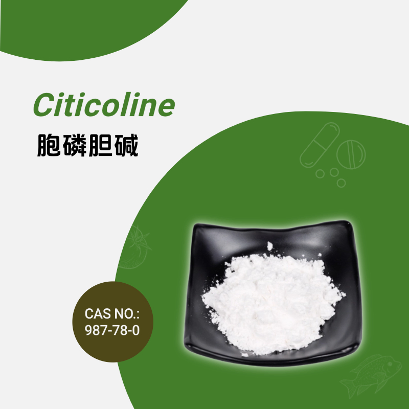 Citicoline Improves Cognition and Focus Dietary Supplement Raw Material 987-78-0