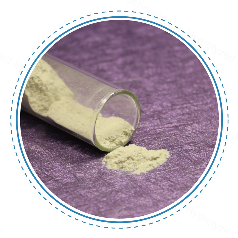 Hydrolyzed Sponge Raw Material of Cosmetic No. 003-250μm-70% Spicule/Microneedle for Skin Care/Body Care/Hair Care