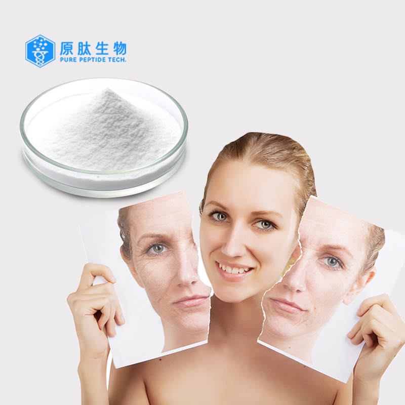 Collagen Tripeptide, Small Molecular Collagen, Skin Care Raw Material, Good Absorbtion