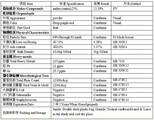 Elderberry Extract Powder Detail