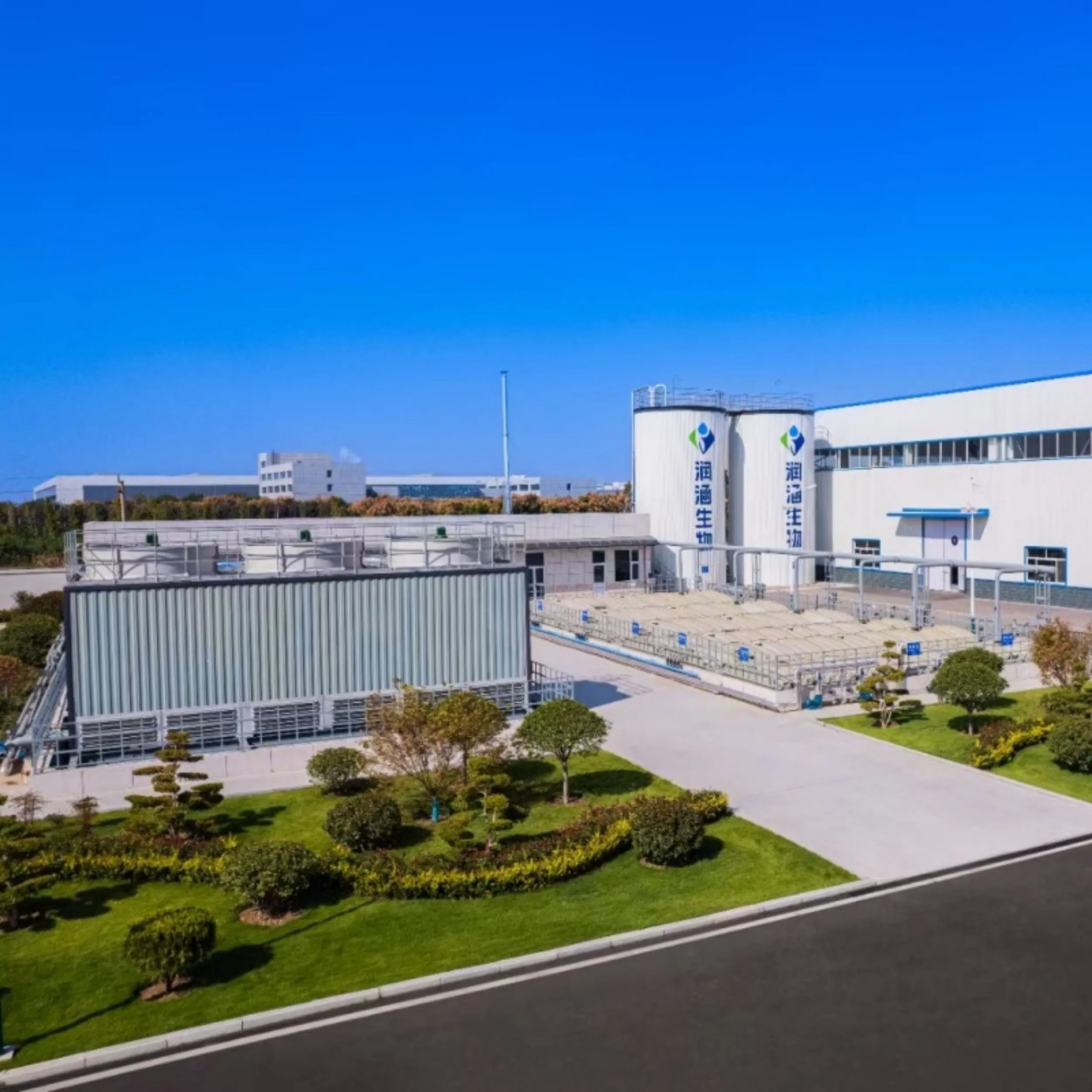 High Purity Powder-Type White-Kidney-Bean Extract for Health Care Product &amp; Dietary Supplement