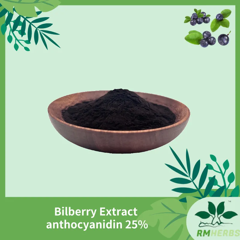 Bilberry Extract Powder