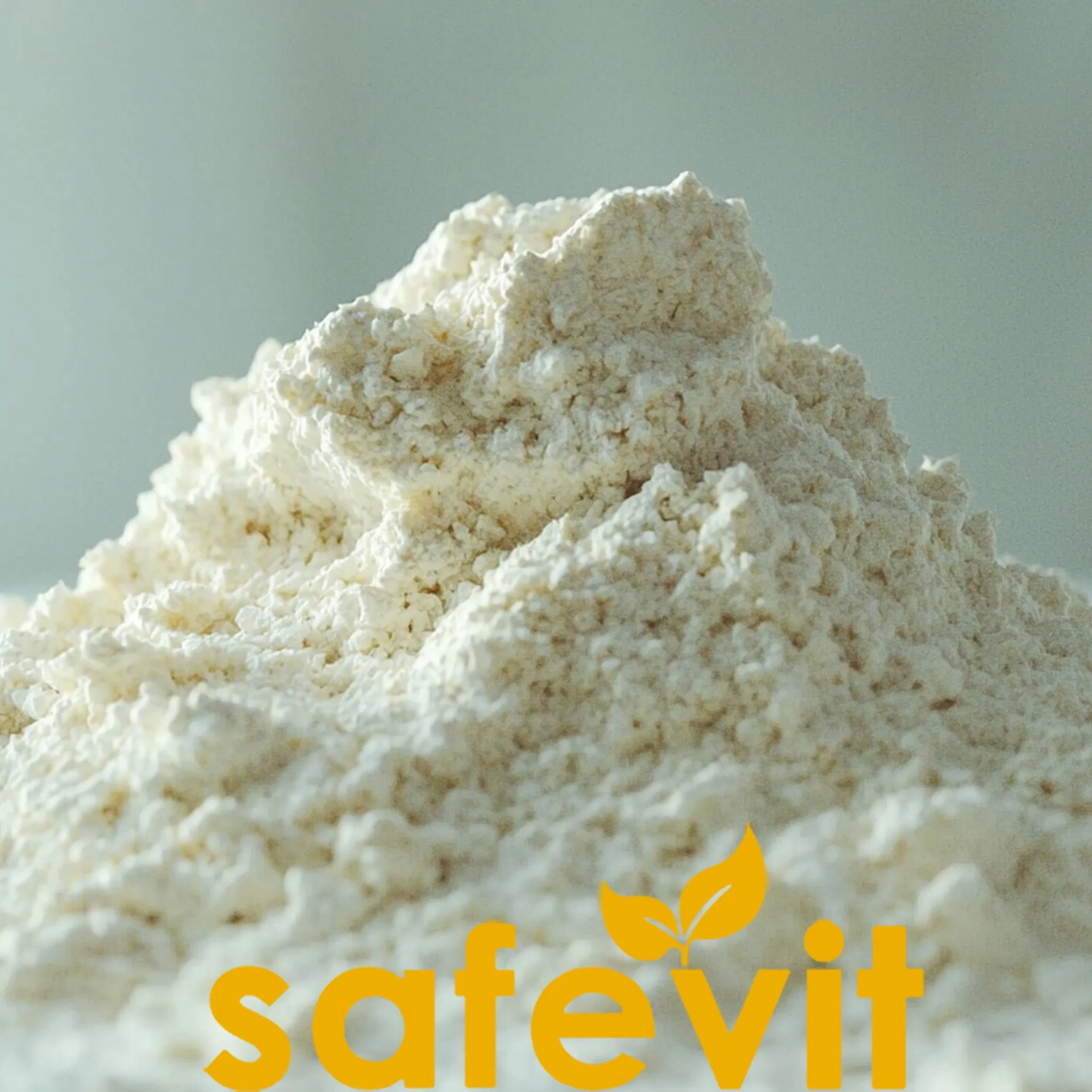 Premium Noodle Vitamin and Mineral Blend From China - 25kg