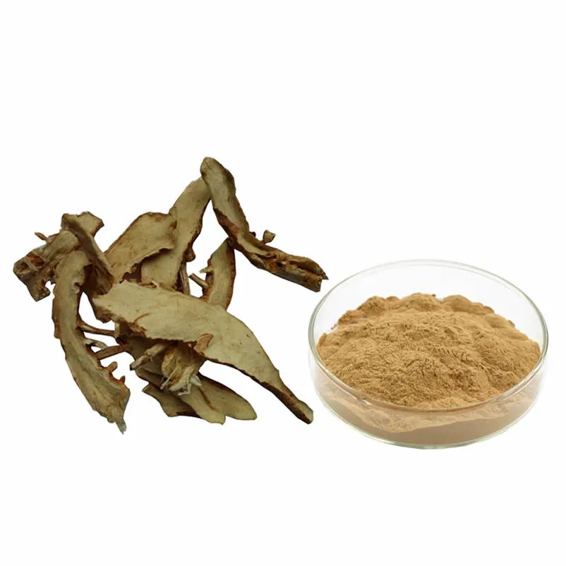 Rhizoma Anemarrhenae Extract Powder 1