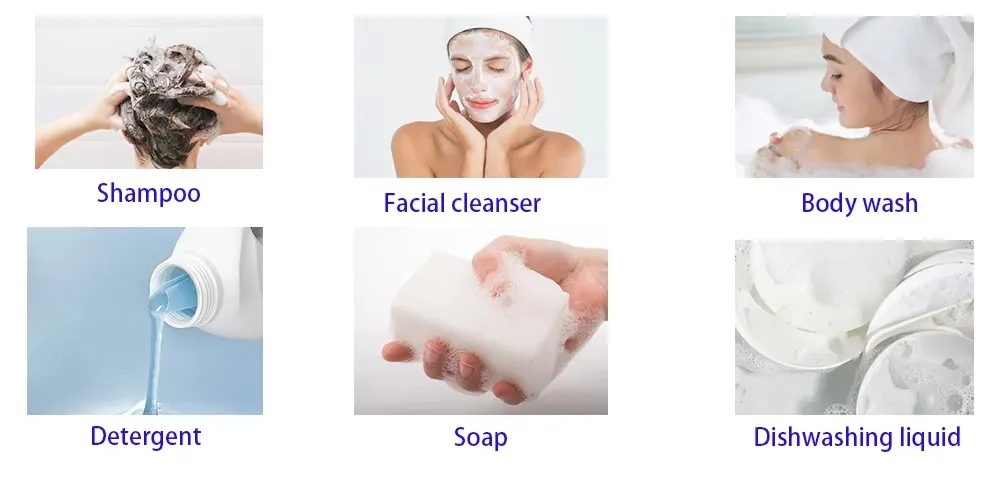 Application Scenario