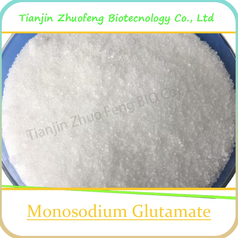 Food Additive High Purity 99% CAS 142-47-2 Monosodium Glutamate Msg