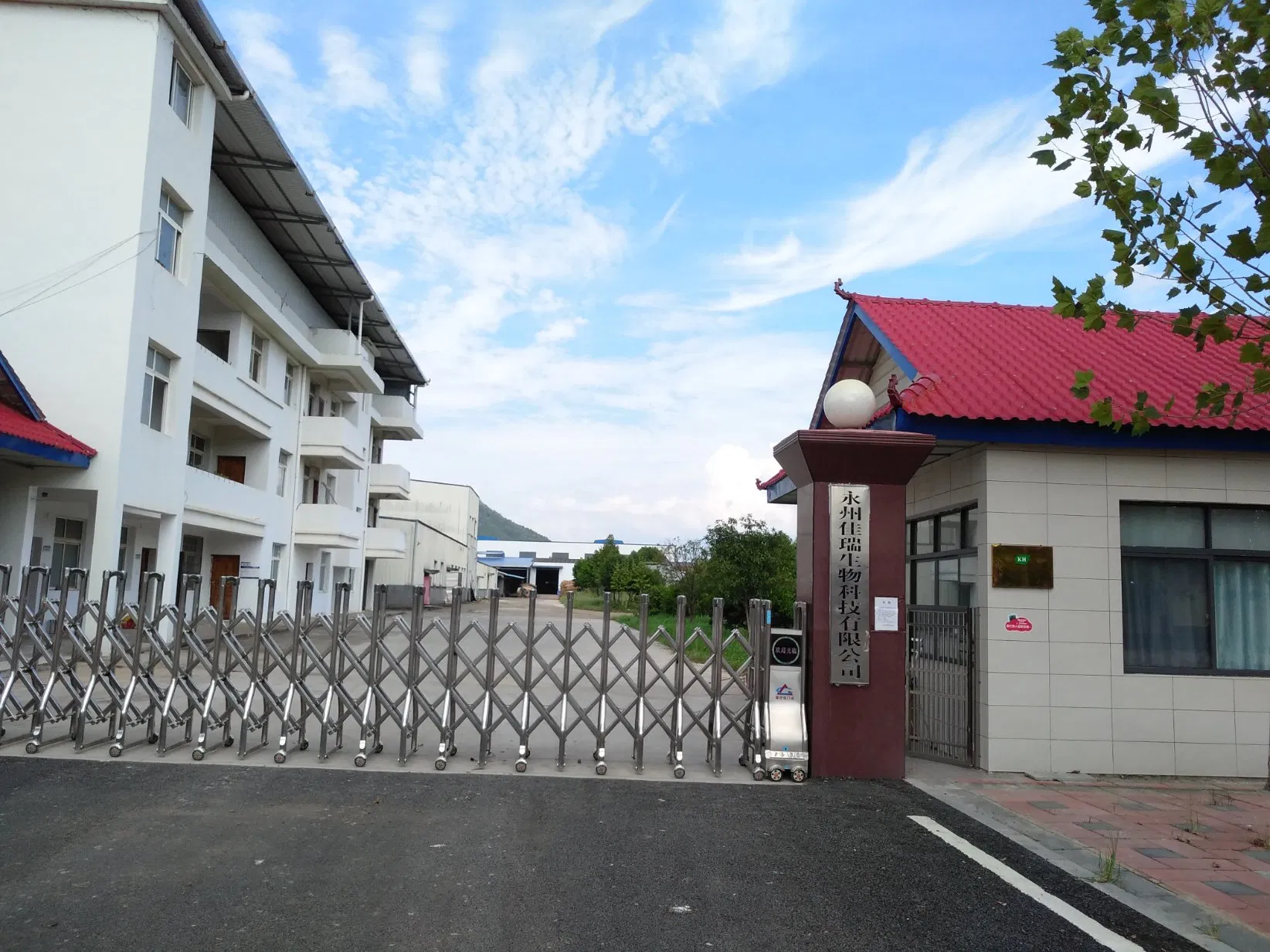 Loquat Leaf Extract Ursolic Acid Plant Extract Herbal Powder Botanical Extract