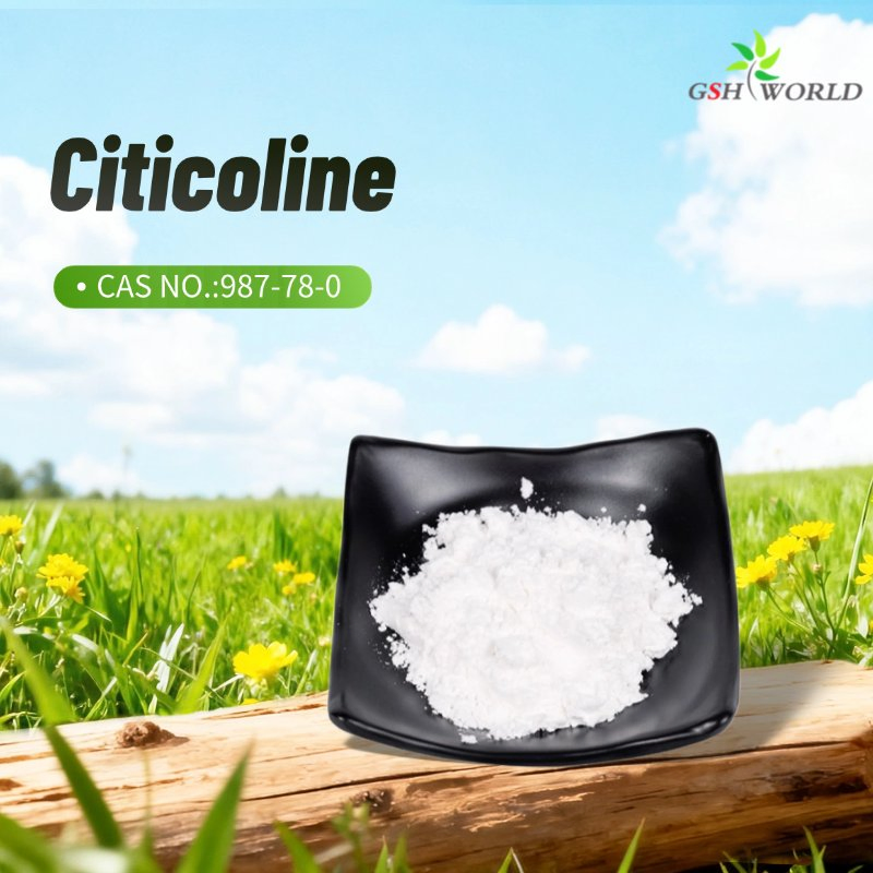 Citicoline Improves Cognition and Focus Dietary Supplement Raw Material 987-78-0