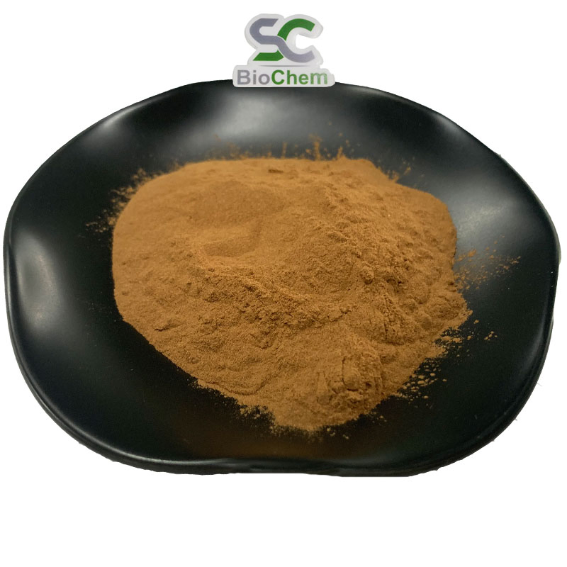 Free Sample Natural Herbal Plant Bacopa Monnieri False Purslane Extract