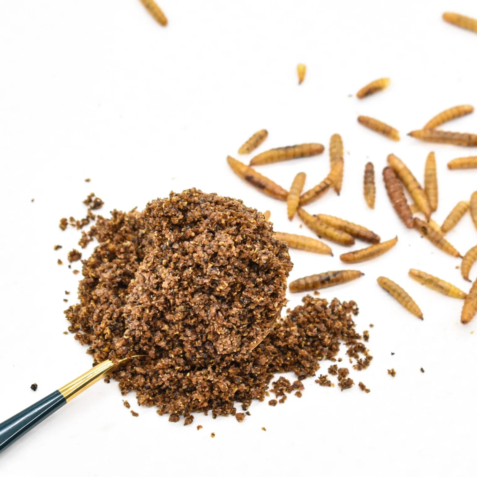 Black Soldier Fly Powder Feed Grade Raw Material for Feed Mills Poultry