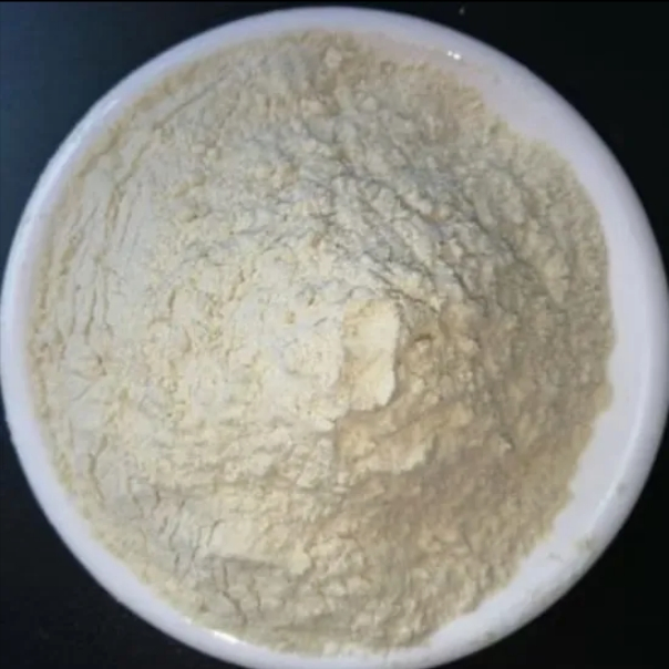 Enzymatic Hydrolyzed Beef Protein Functional Raw Material for Food Feed