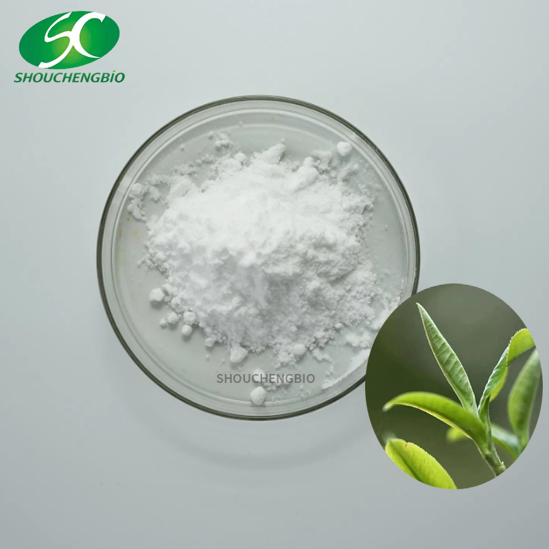 L-Theanine Powder Ingredient High Purity