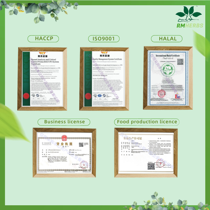 High-Quality Cordyceps Militaris Extract 8: 1 for Natural Wellness