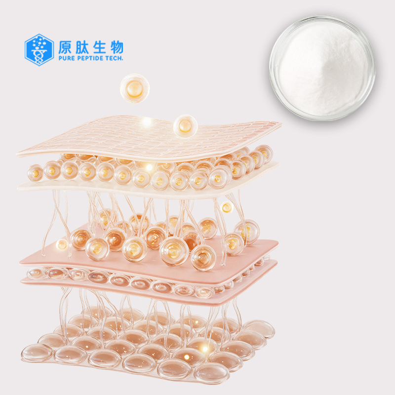 Collagen Tripeptide, Small Molecular Collagen, Skin Care Raw Material, Good Absorbtion