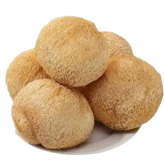 Organic Hericium Erinaceus Extract