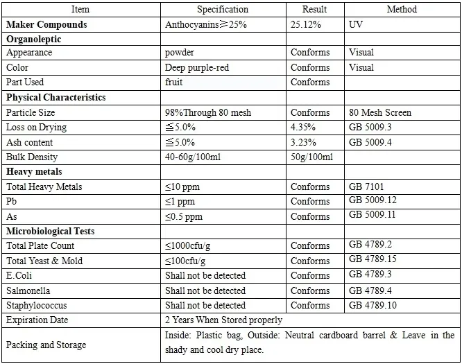 Bilberry Source Fruit