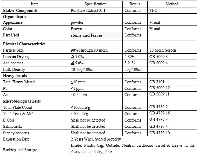 Purslane Powder Details