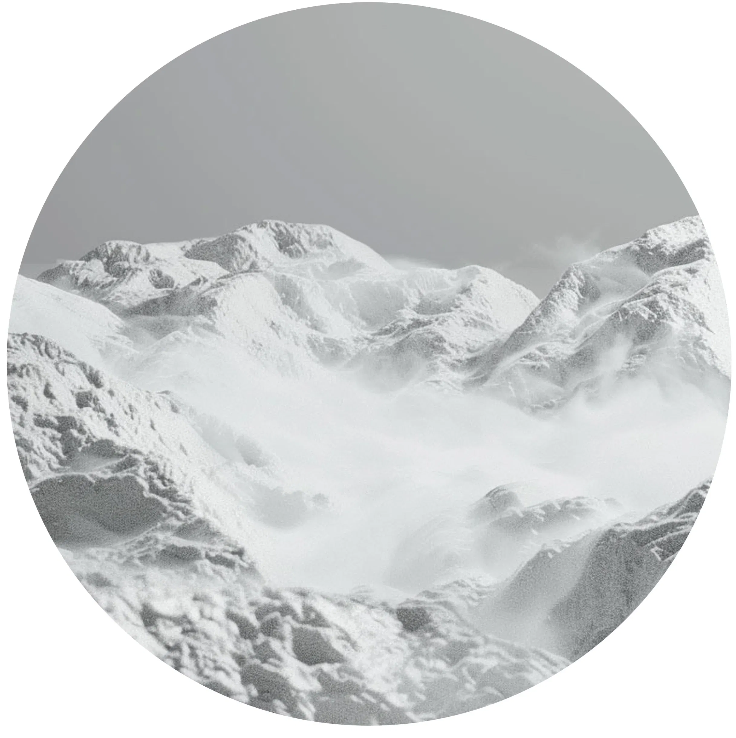 Premium Safevit Vitality Blend Nutritional Booster for Wellness