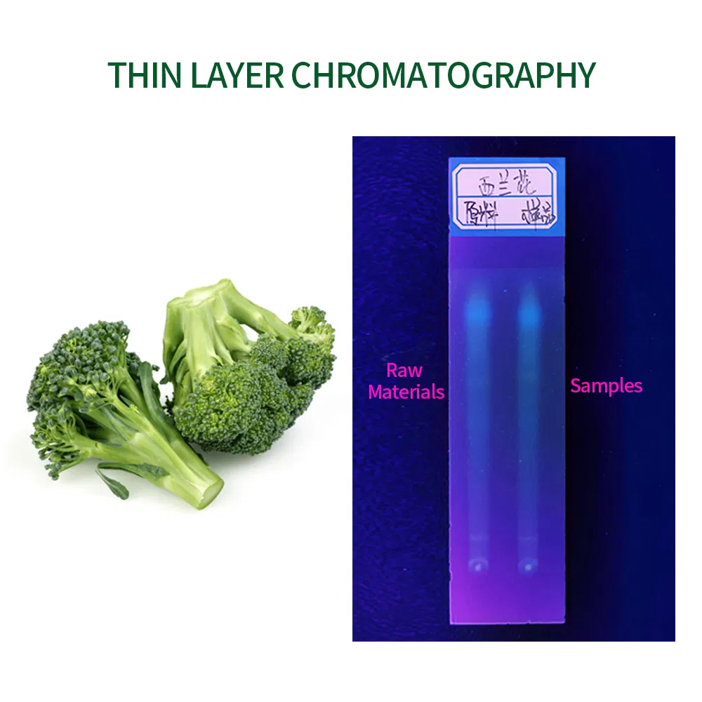 Bulk Natural Herb Glucoraphanin Sulforaphane Broccoli Seed Extract