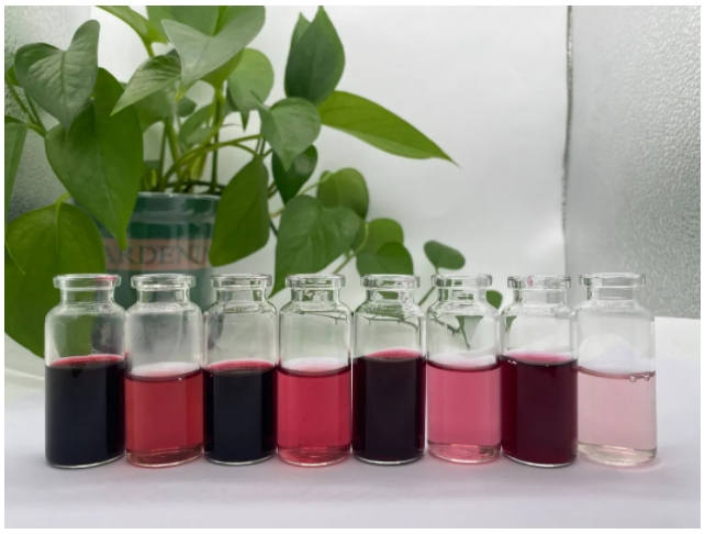 Premium Elderberry Extract with High Anthocyanin Content for Immune Health