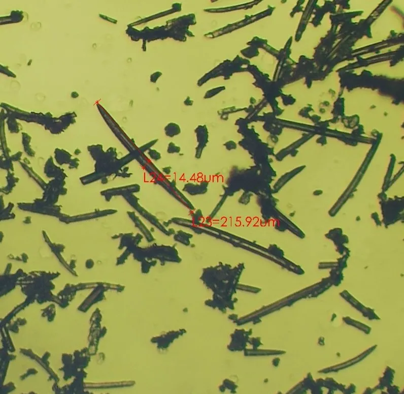 Hydrolyzed Sponge Spicule