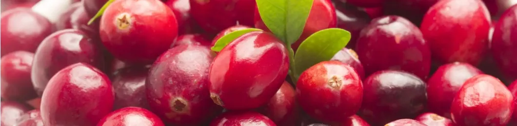 Cranberry Extract Banner