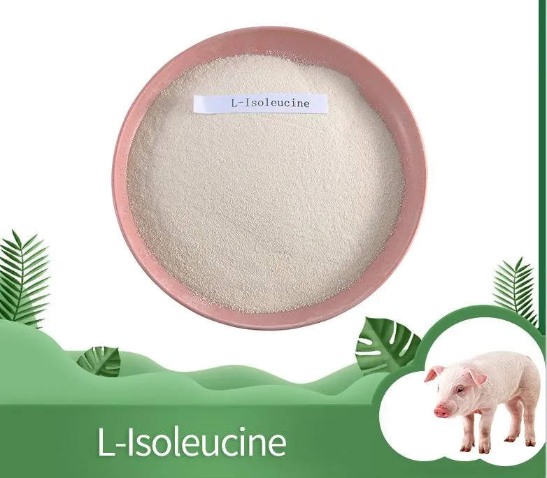 L-Isoleucine Raw Material