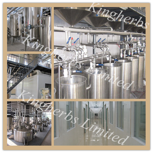 Loquat Leaf Extract Ursolic Acid Plant Extract Herbal Powder Botanical Extract