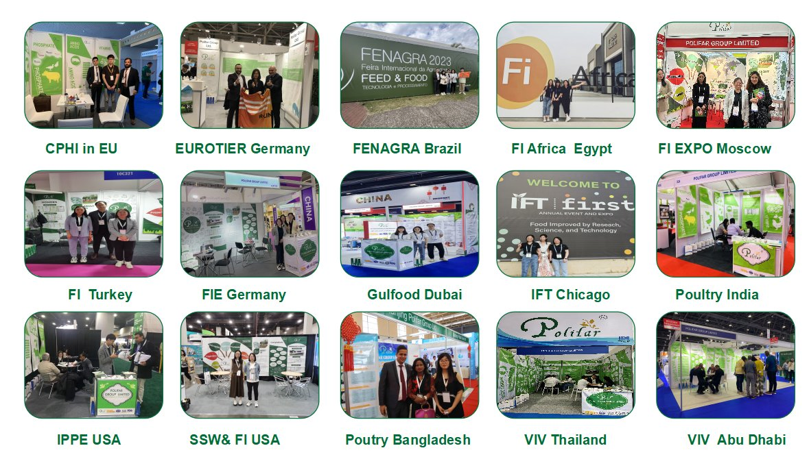 Widely Used Taurine Raw Material for Pharmaceutical and Dietary Supplements