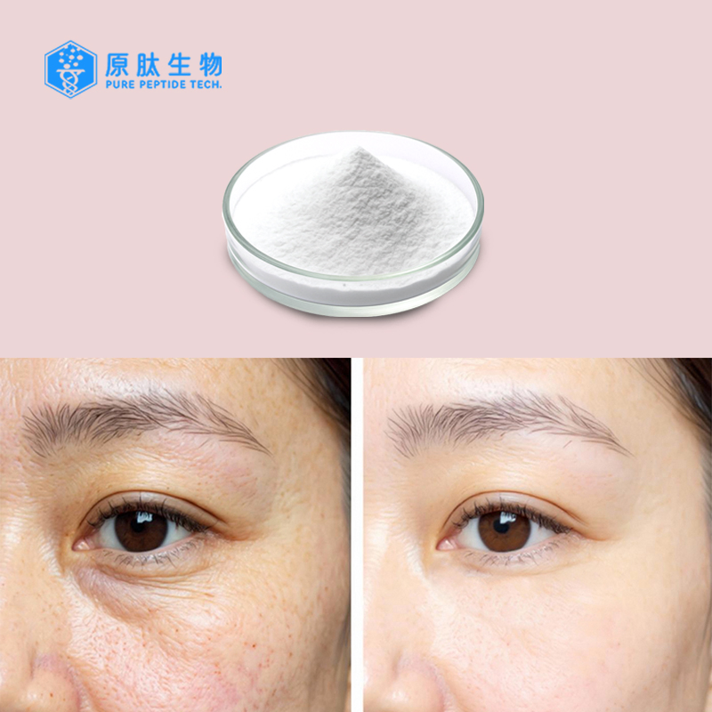 Collagen Tripeptide, Small Molecular Collagen, Skin Care Raw Material, Good Absorbtion
