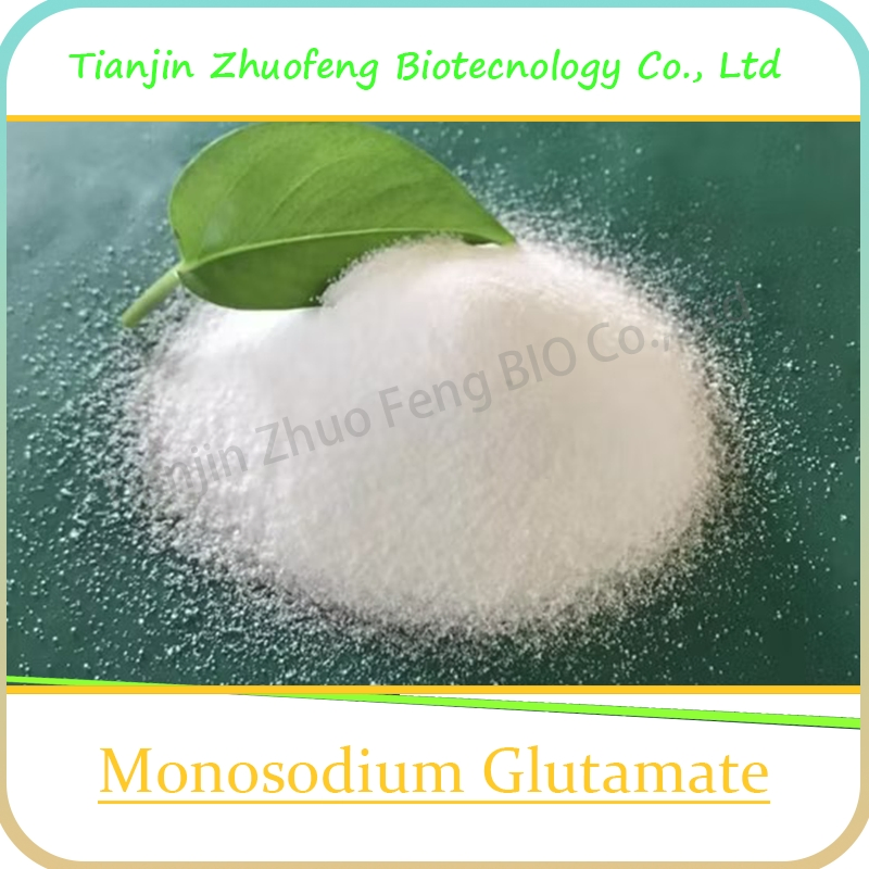 Food Additive High Purity 99% CAS 142-47-2 Monosodium Glutamate Msg