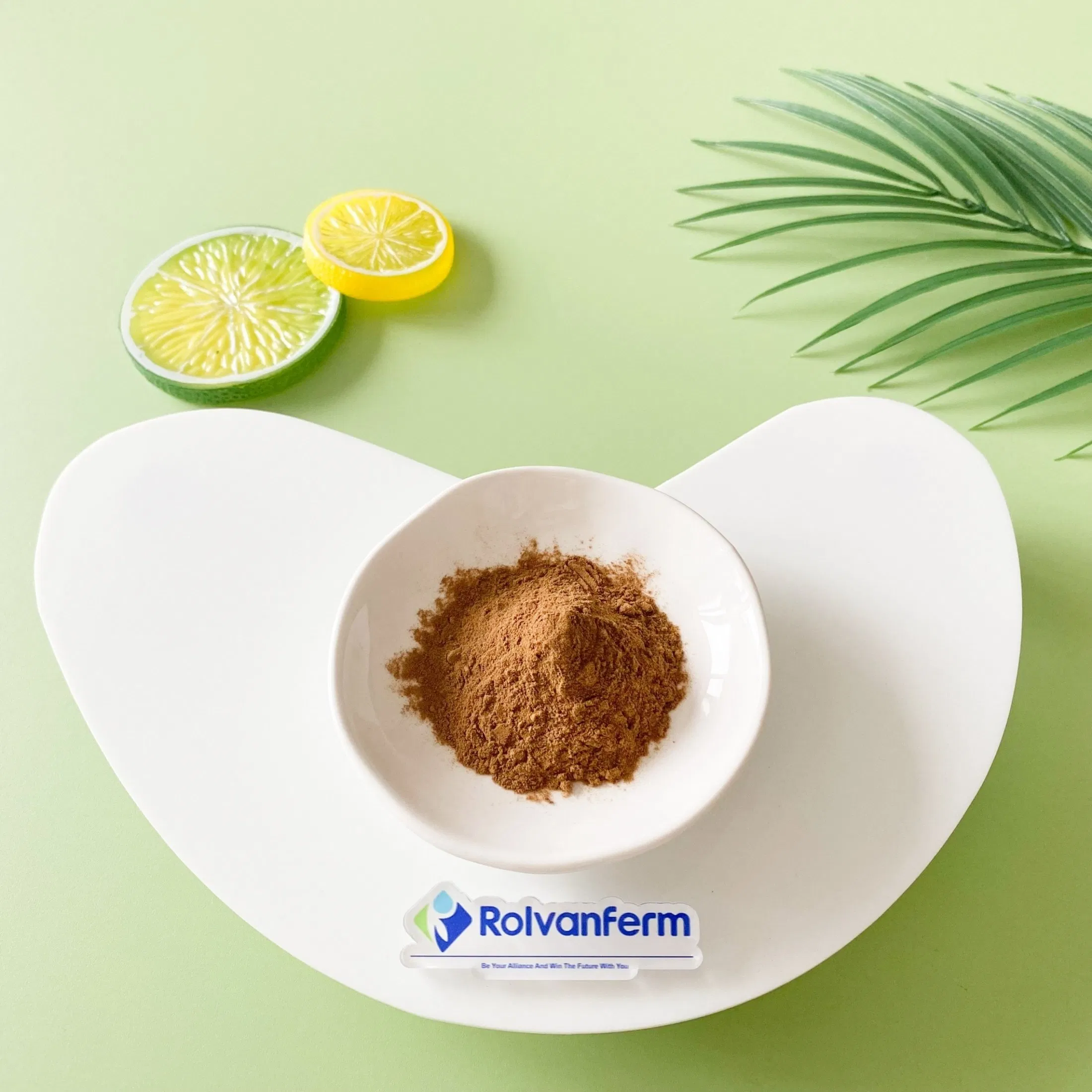 Salvia Plebeia Extract Natural Salvia Plebeia Botanical Extract for Nutritional Supplements and Herbal Wellness Products