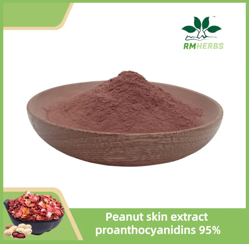Peanut Skin Extract Detail