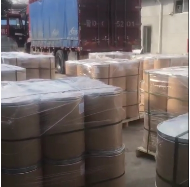 Natural Mushroom Extract Powder for Boosted Energy and Focus