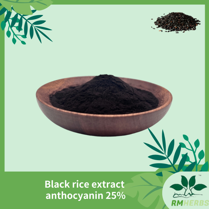 Premium Black Rice Extract with 25% Anthocyanins for Wellness Benefits Extract