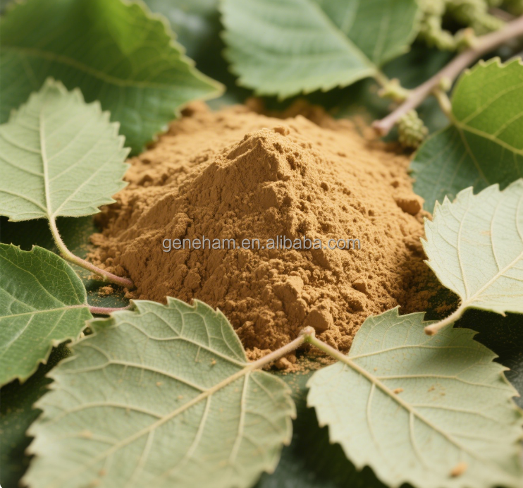 Kosher/Halal Certified Food Grade 2% Mulberry Leaf Extract Plant-Based Herbal Powder