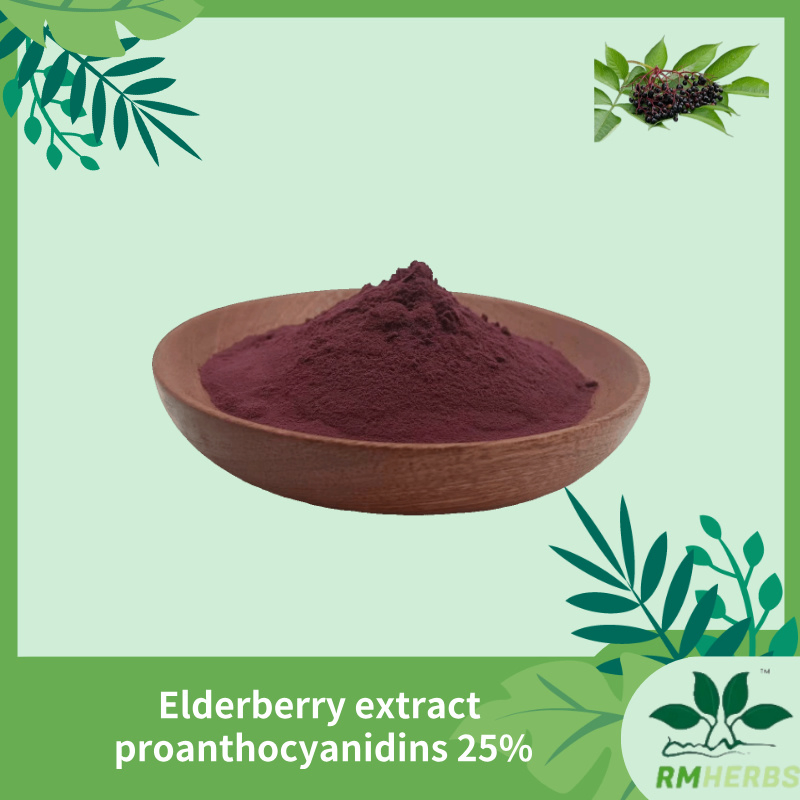 Premium Elderberry Extract with 25% Proanthocyanidins for Immune Health