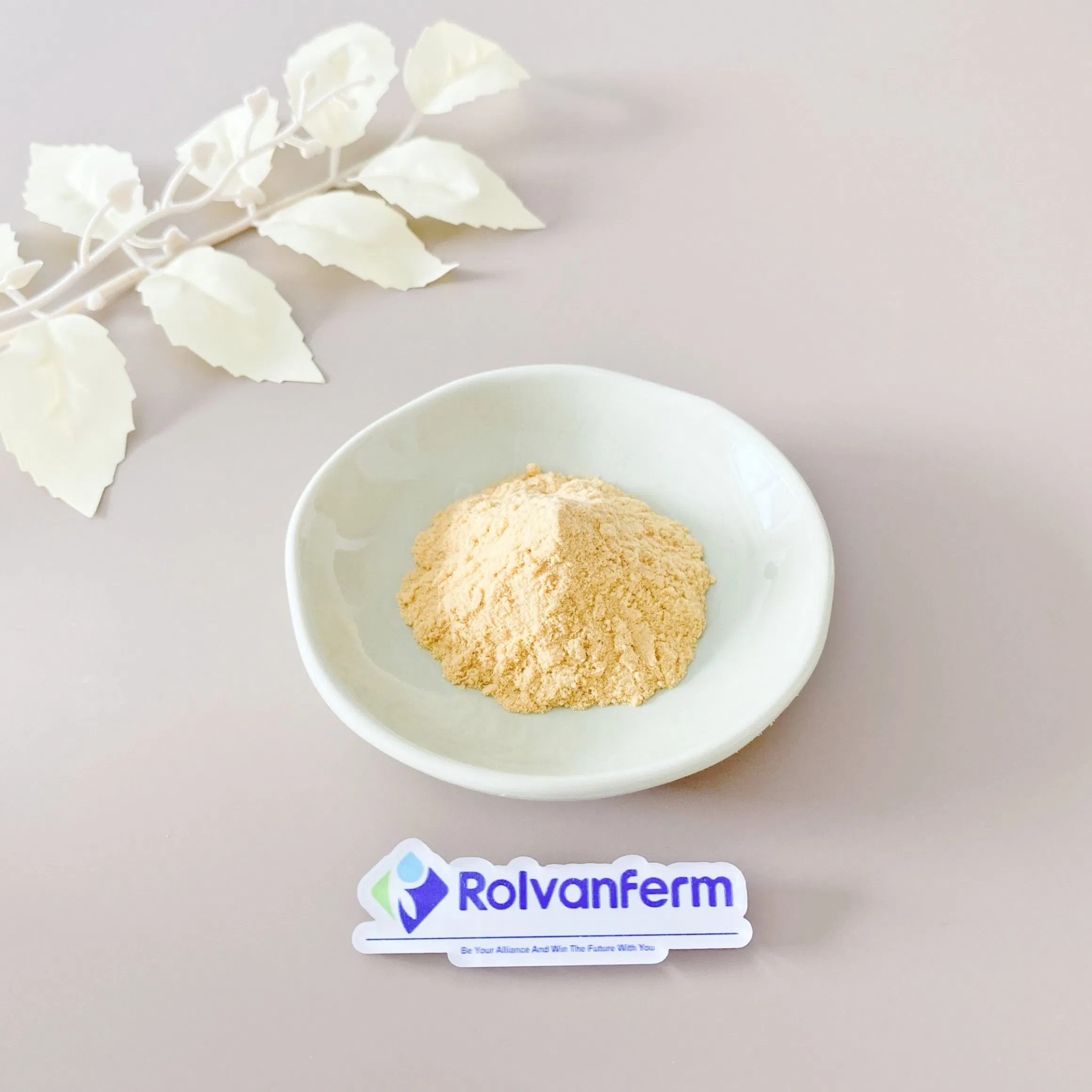Natural Ginger Root Extract Zingiber Officinale Botanical Raw Material for Nutraceutical, Herbal Supplement and OEM Use