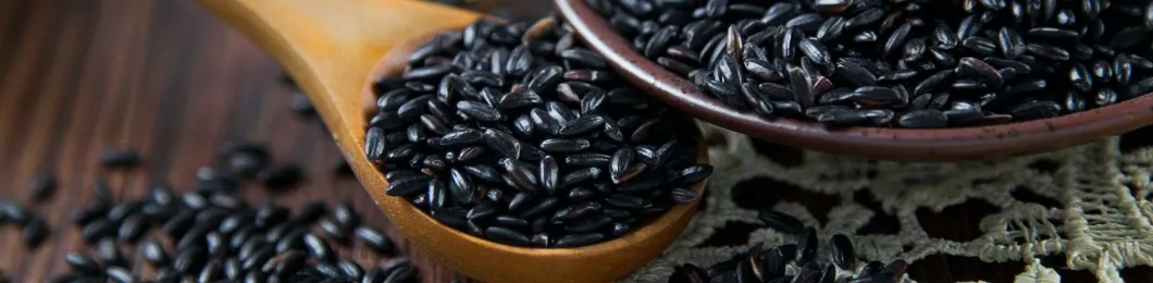 Black Rice Extract Banner