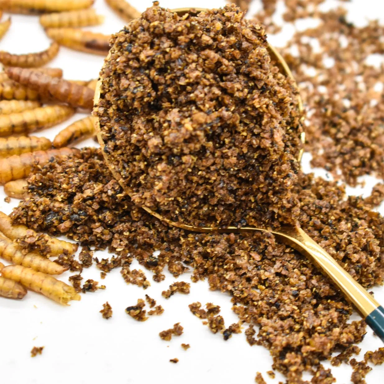 Bulk Supply Black Soldier Fly Insect Meal Sustainable Feed Raw Material for Aquaculture Livestock